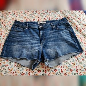 Levi's Signature High Rise Jean Shorts